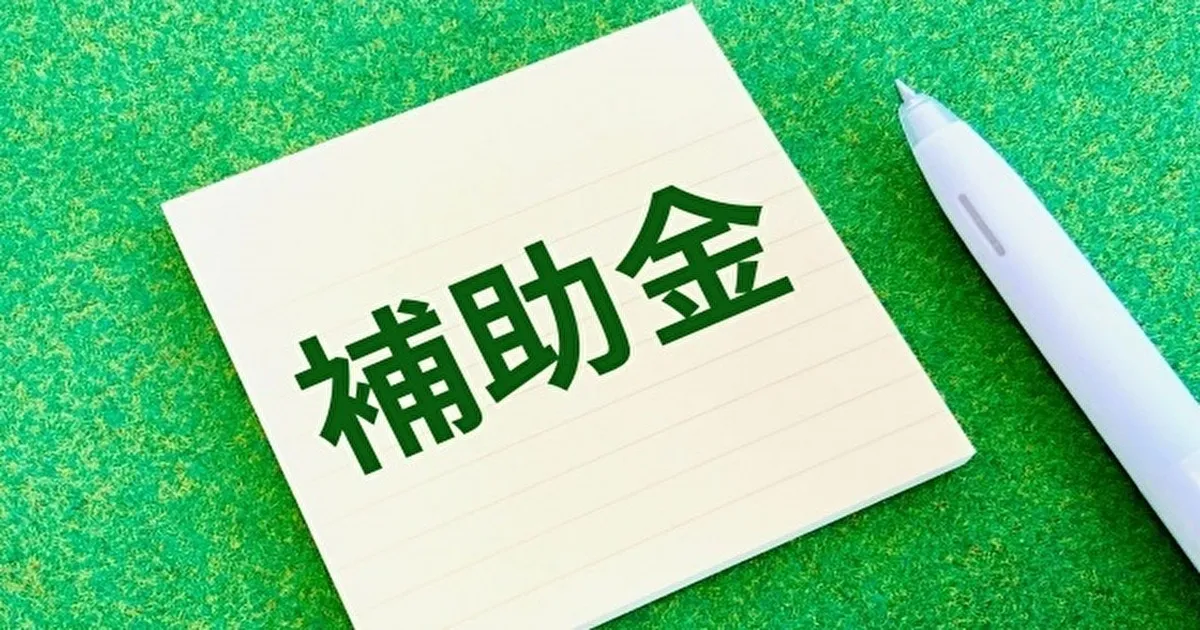 補助金ファクタリング！補助金つなぎ融資POファイナンスとの違い・デメリット。助成金・担保融資など -